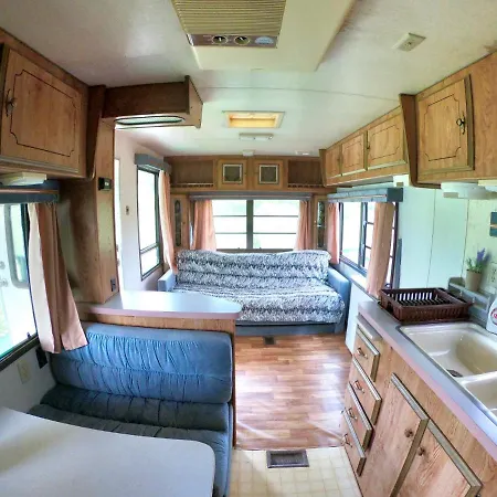 Honey Tiny Campingplads Vadu Crisului