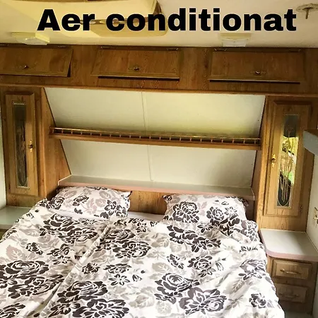 Honey Tiny Campingplads Vadu Crisului